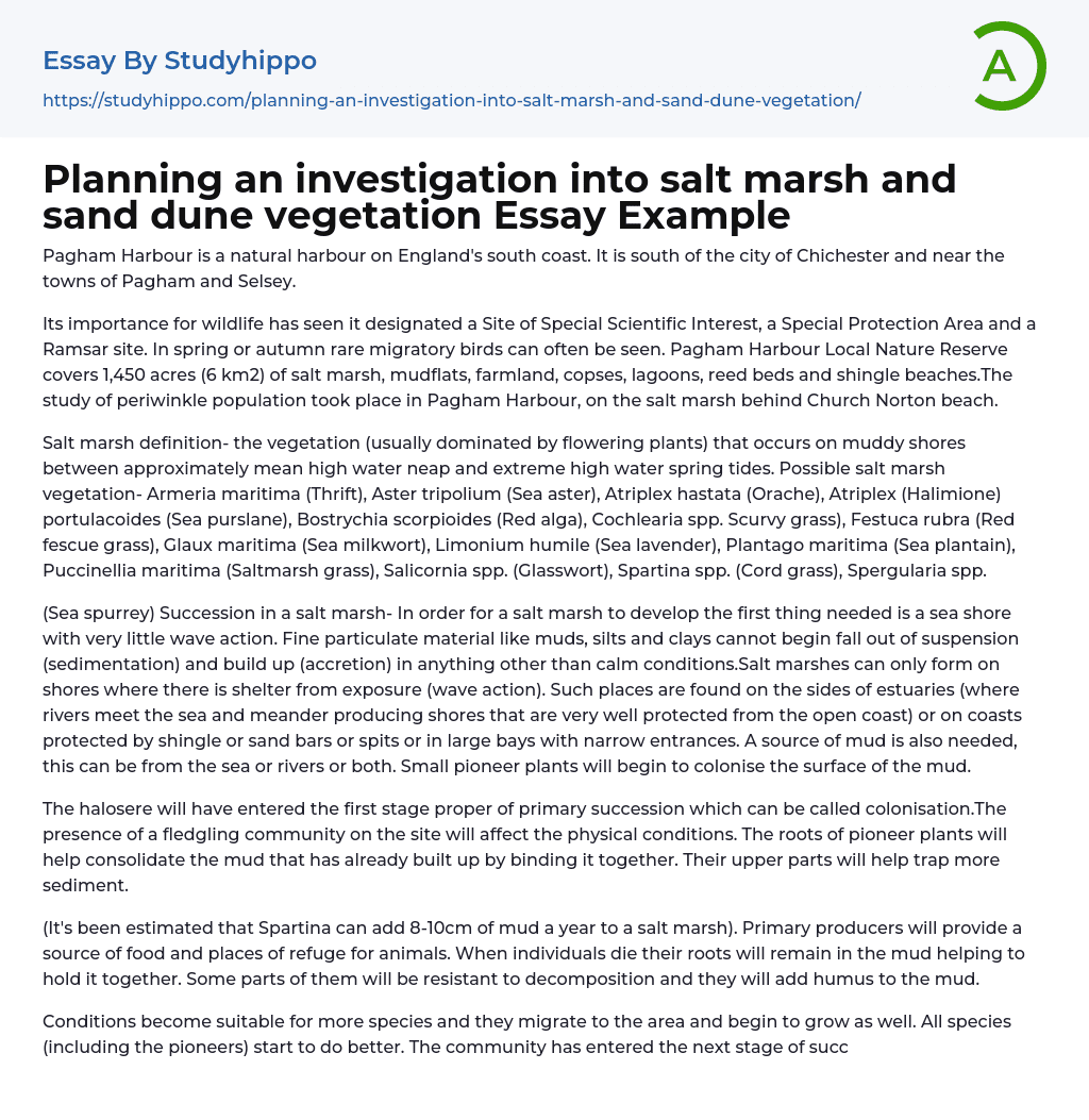 Planning an investigation into salt marsh and sand dune vegetation Essay Example