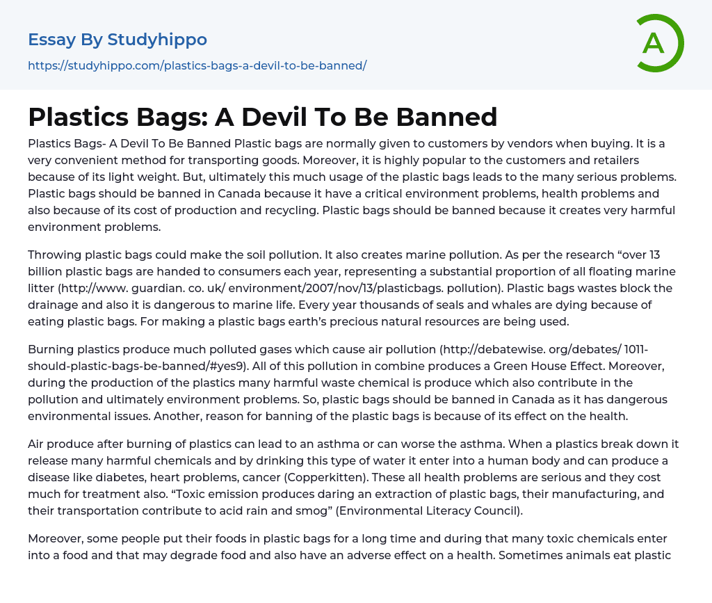 Plastics Bags: A Devil To Be Banned Essay Example
