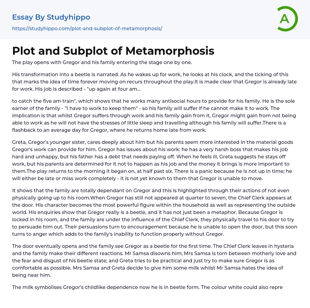 Plot and Subplot of Metamorphosis Essay Example