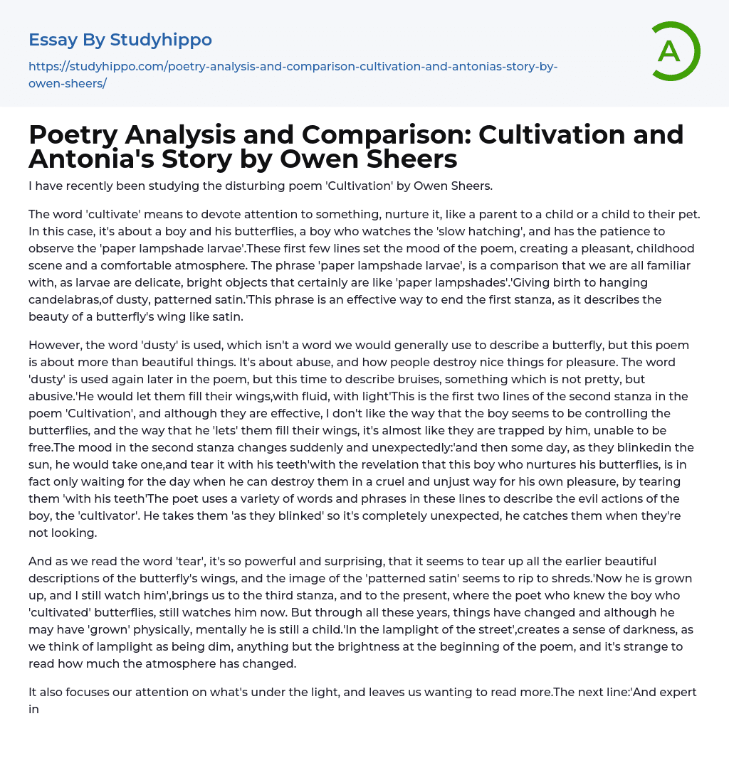 Poetry Analysis and Comparison: Cultivation and Antonia’s Story by Owen Sheers Essay Example