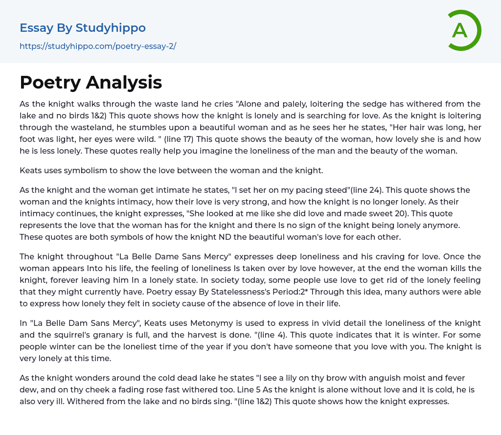 Poetry Analysis Essay Example