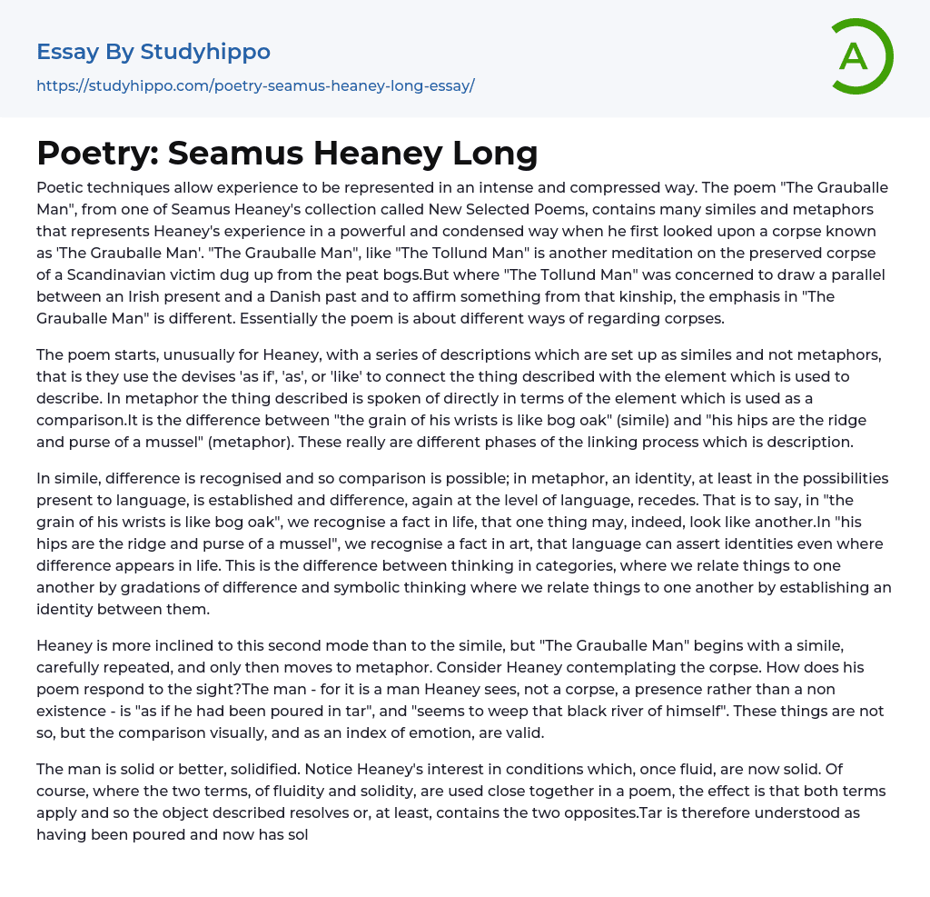 Poetry: Seamus Heaney Long Essay Example
