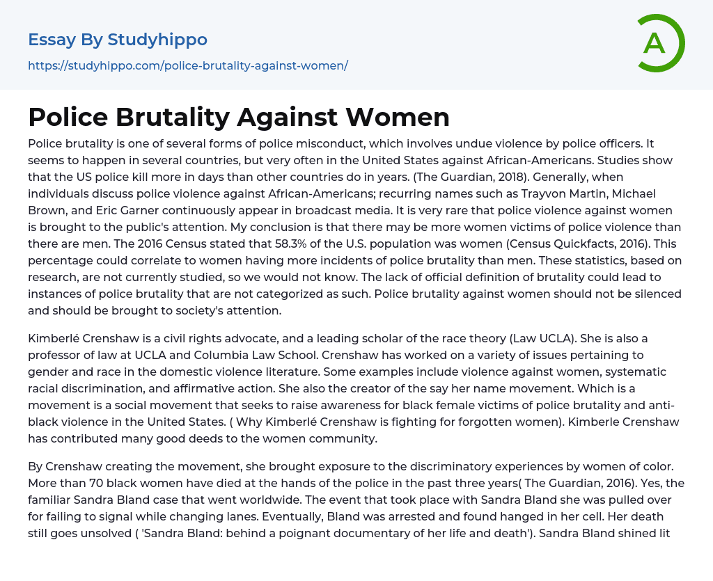 Police Brutality Against Women Essay Example