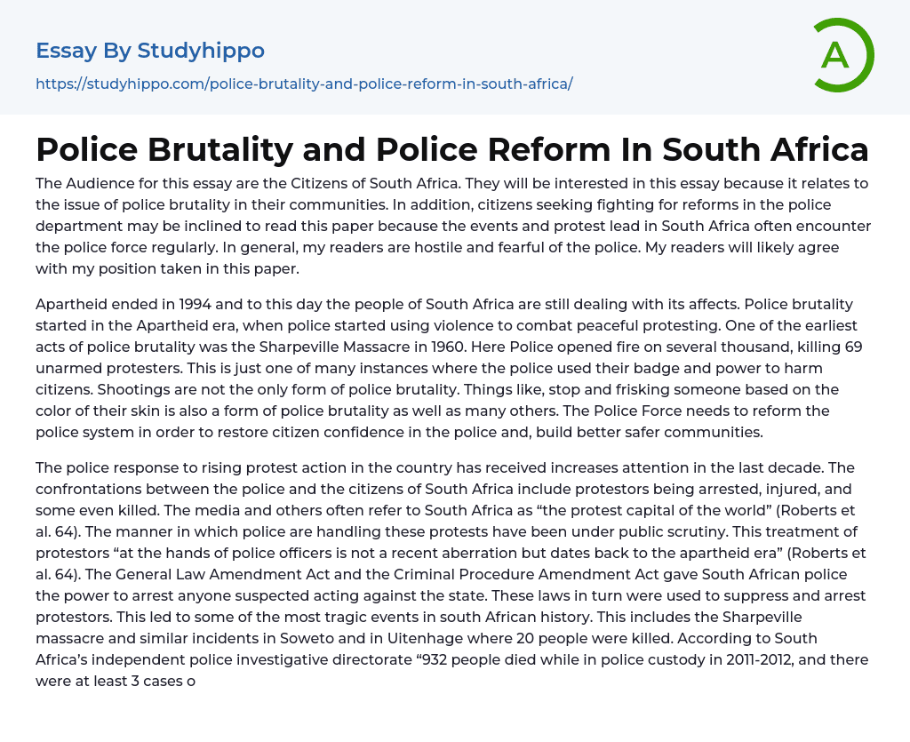 Police Brutality and Police Reform In South Africa Essay Example