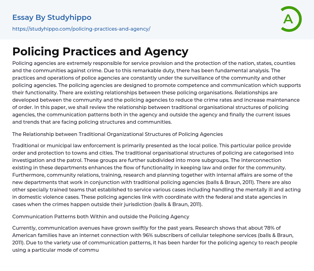 Policing Practices and Agency Essay Example