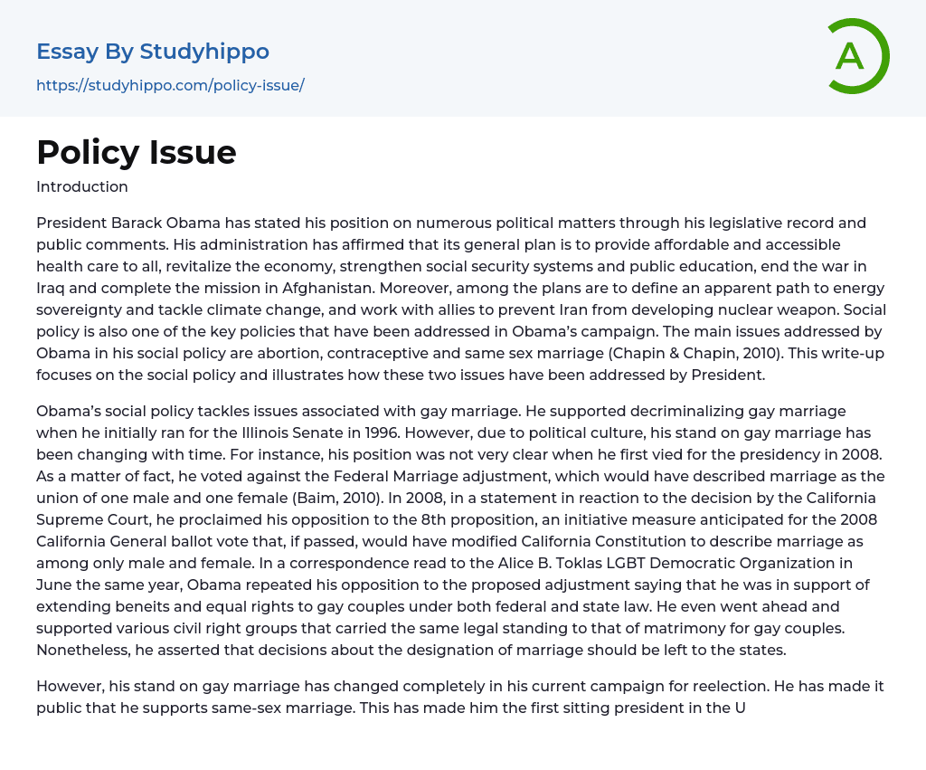 Policy Issue Essay Example