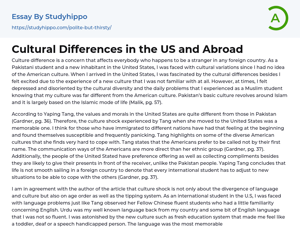 Cultural Differences in the US and Abroad Essay Example