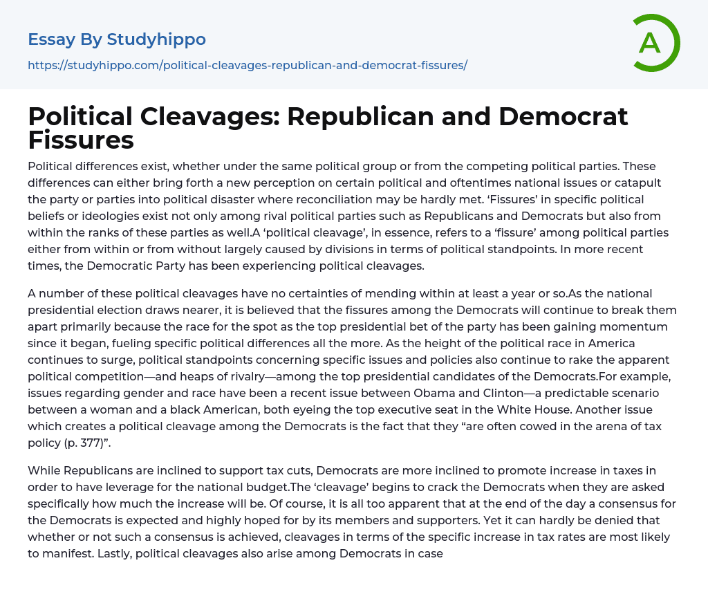 Political Cleavages: Republican and Democrat Fissures Essay Example