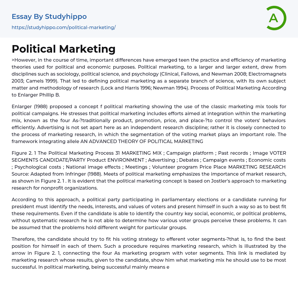 Political Marketing Essay Example