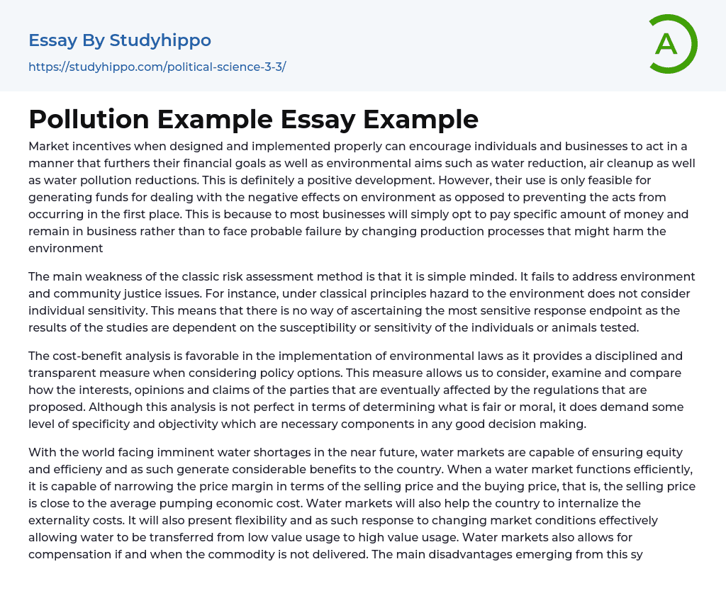 Pollution Example Essay Example
