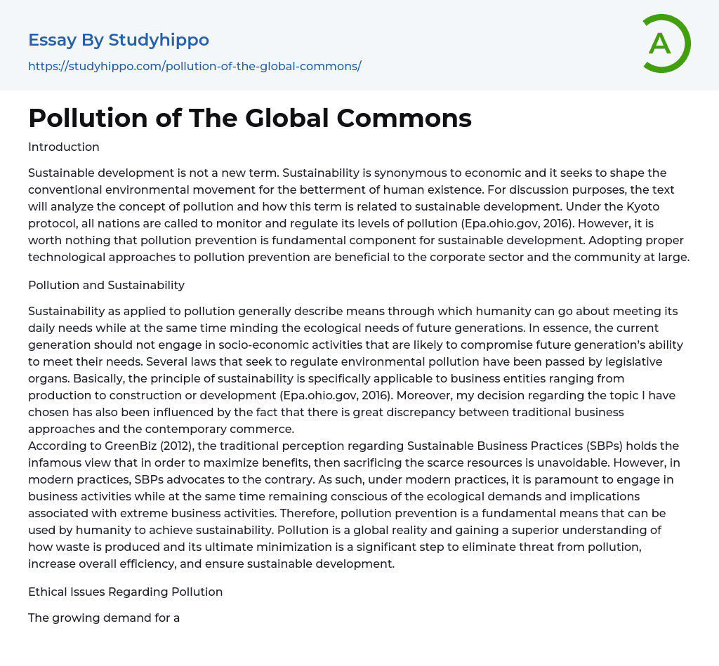Pollution of The Global Commons Essay Example