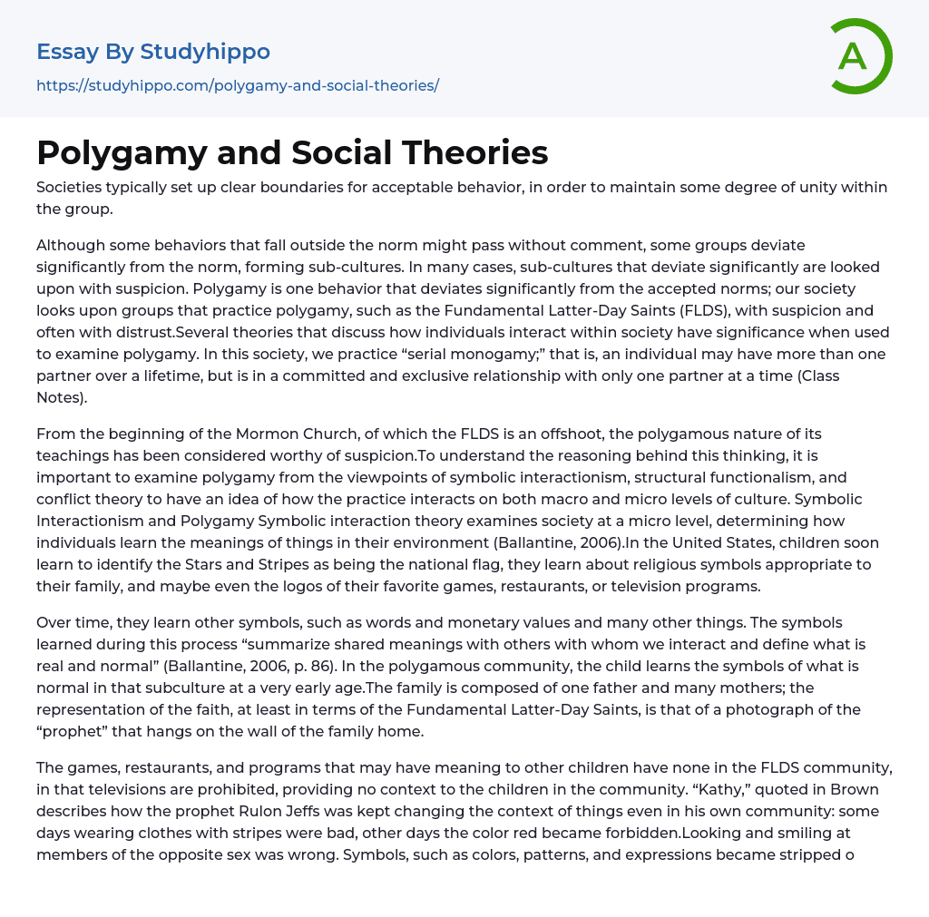 argumentative essay about polygamy