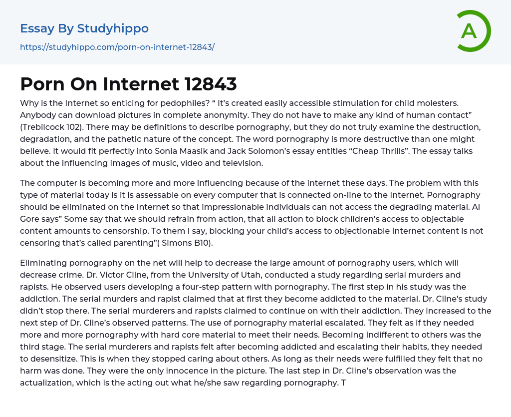 Porn On Internet 12843 Essay Example