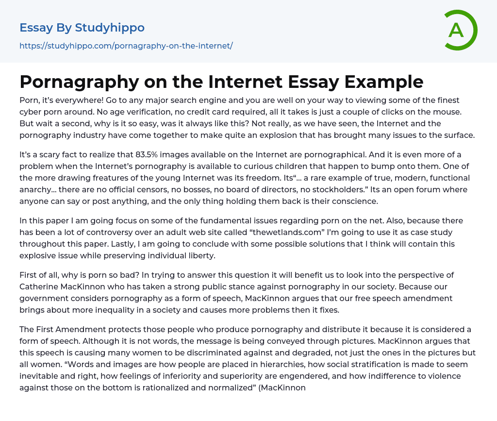 Pornagraphy on the Internet Essay Example