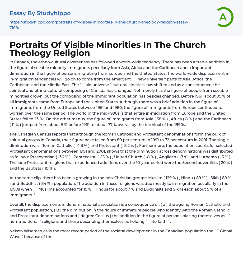 Portraits Of Visible Minorities In The Church Theology Religion Essay Example
