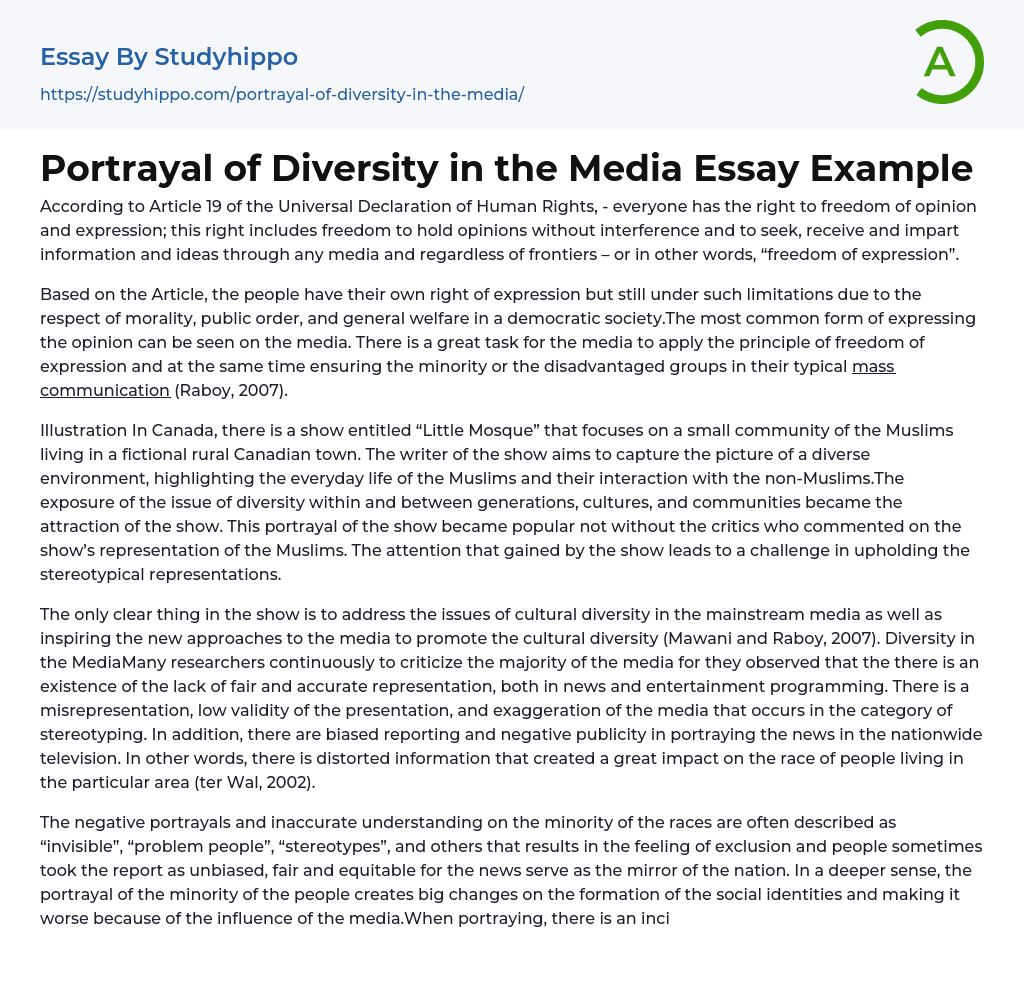 Portrayal of Diversity in the Media Essay Example