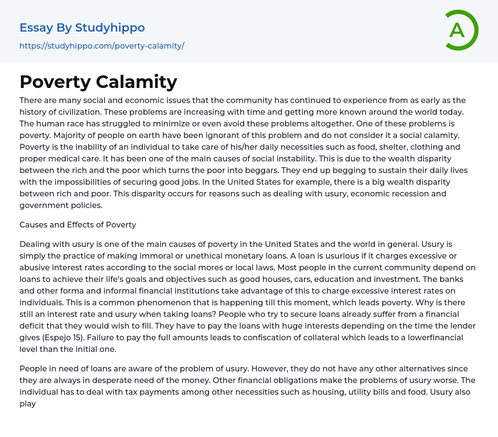 Poverty Calamity Essay Example