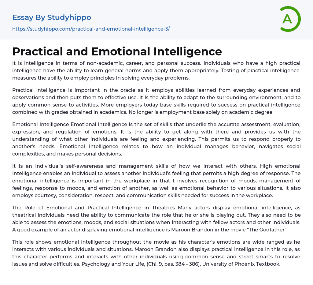 Practical and Emotional Intelligence Essay Example