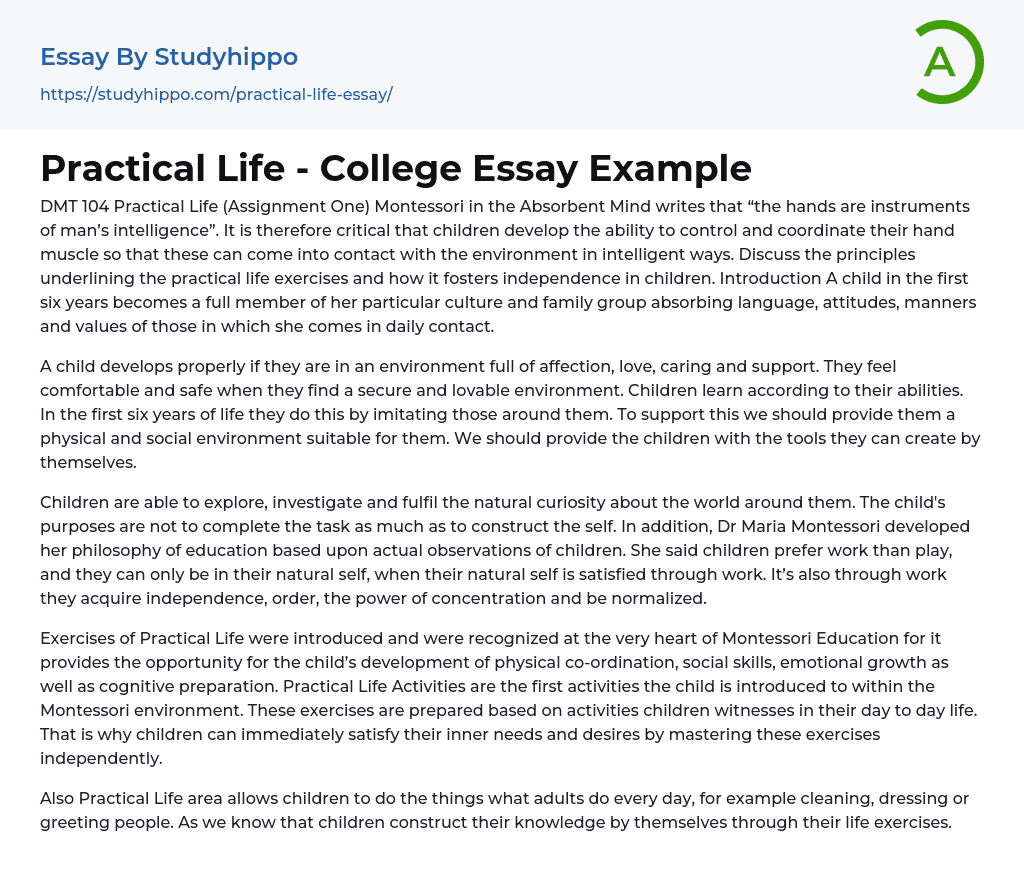 Practical Life – College Essay Example