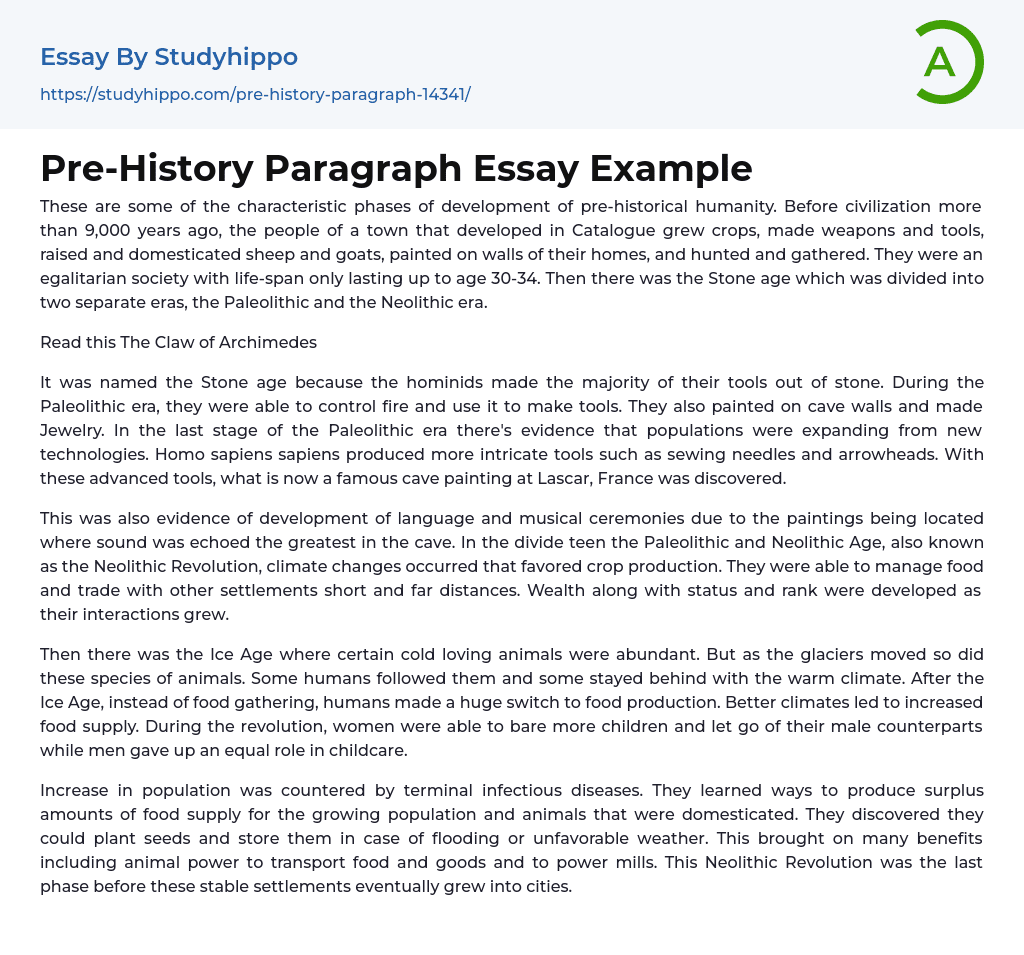 Pre-History Paragraph Essay Example