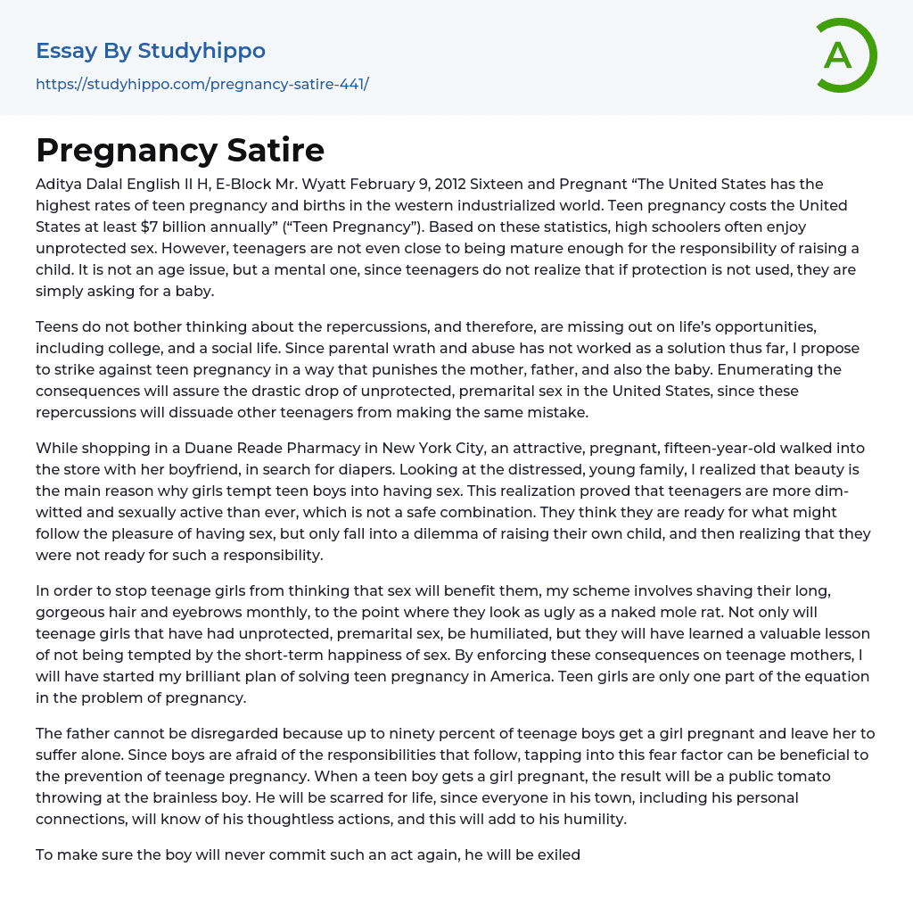Pregnancy Satire Essay Example
