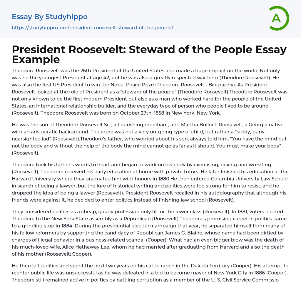 President Roosevelt: Steward of the People Essay Example