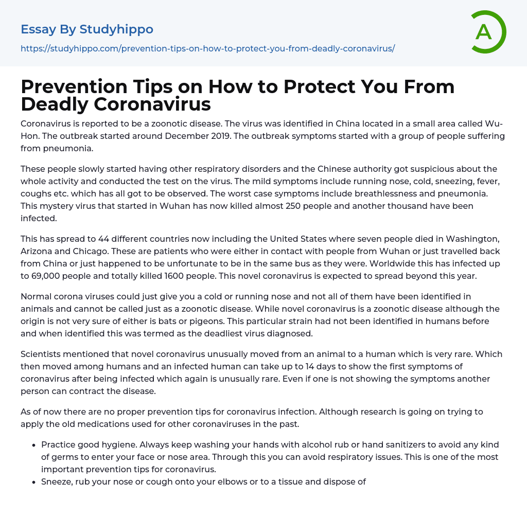 Prevention Tips on How to Protect You From Deadly Coronavirus Essay Example