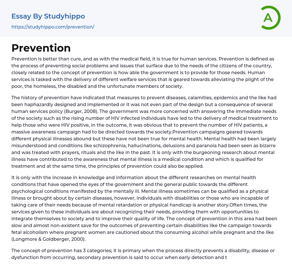 Prevention Essay Example