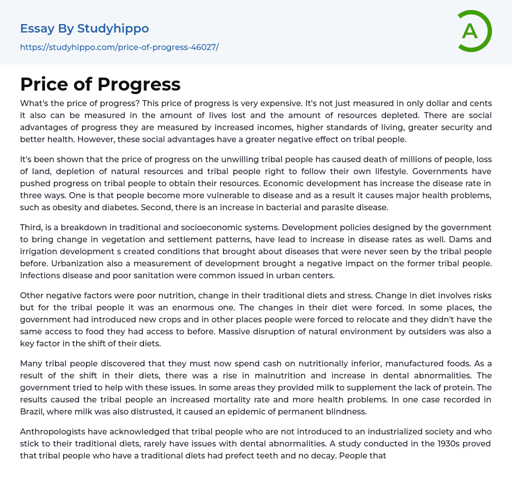 Price of Progress Essay Example