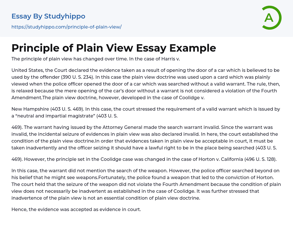 Principle of Plain View Essay Example