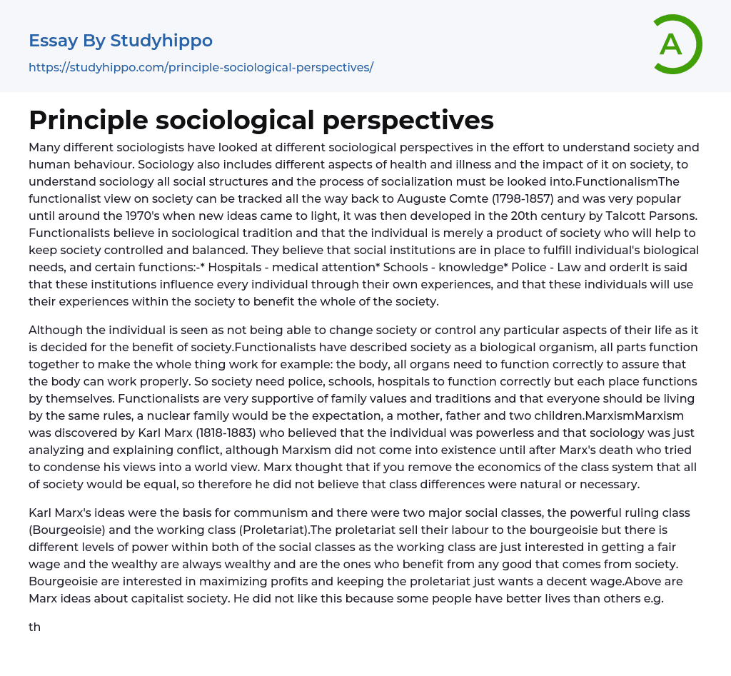 Principle sociological perspectives Essay Example