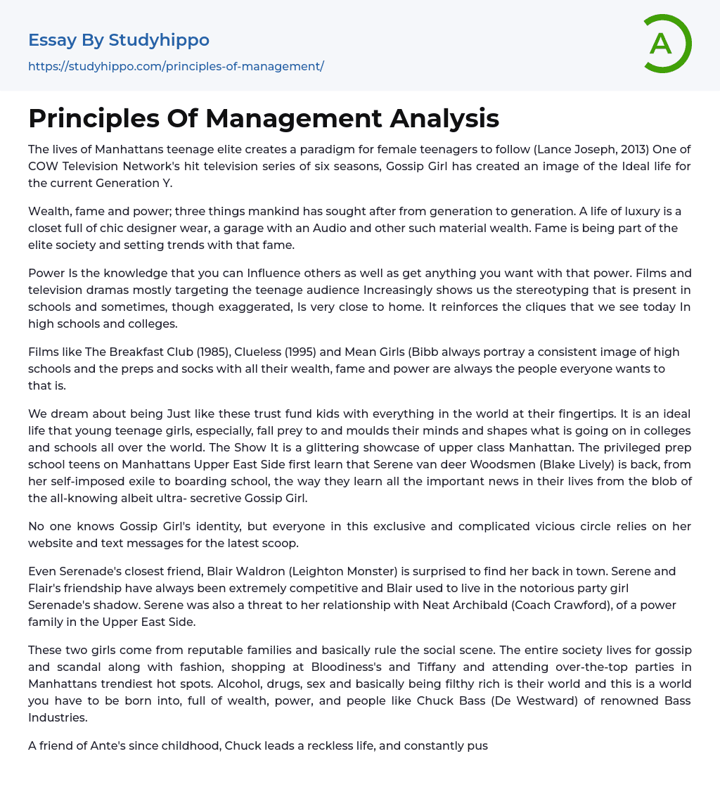 Principles Of Management Analysis Essay Example
