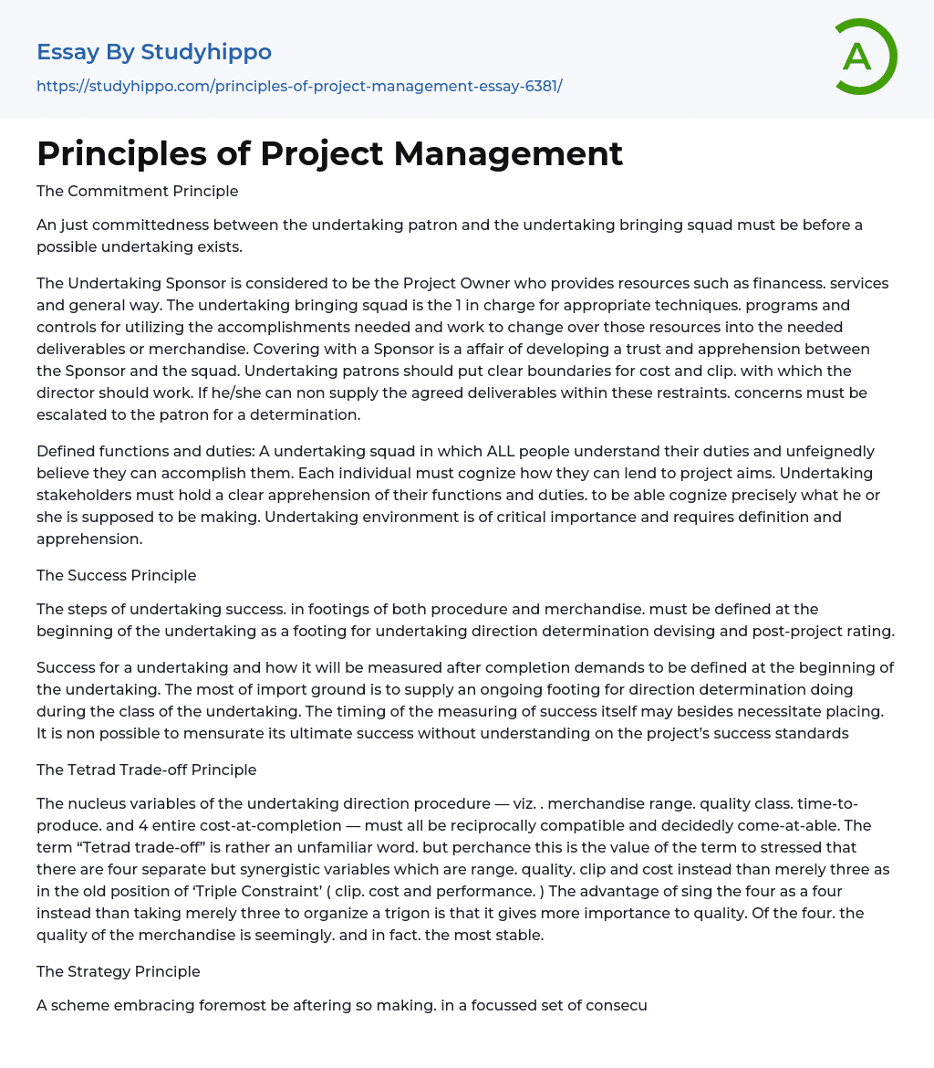 Principles of Project Management Essay Example