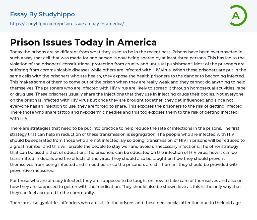 Prison Issues Today in America Essay Example
