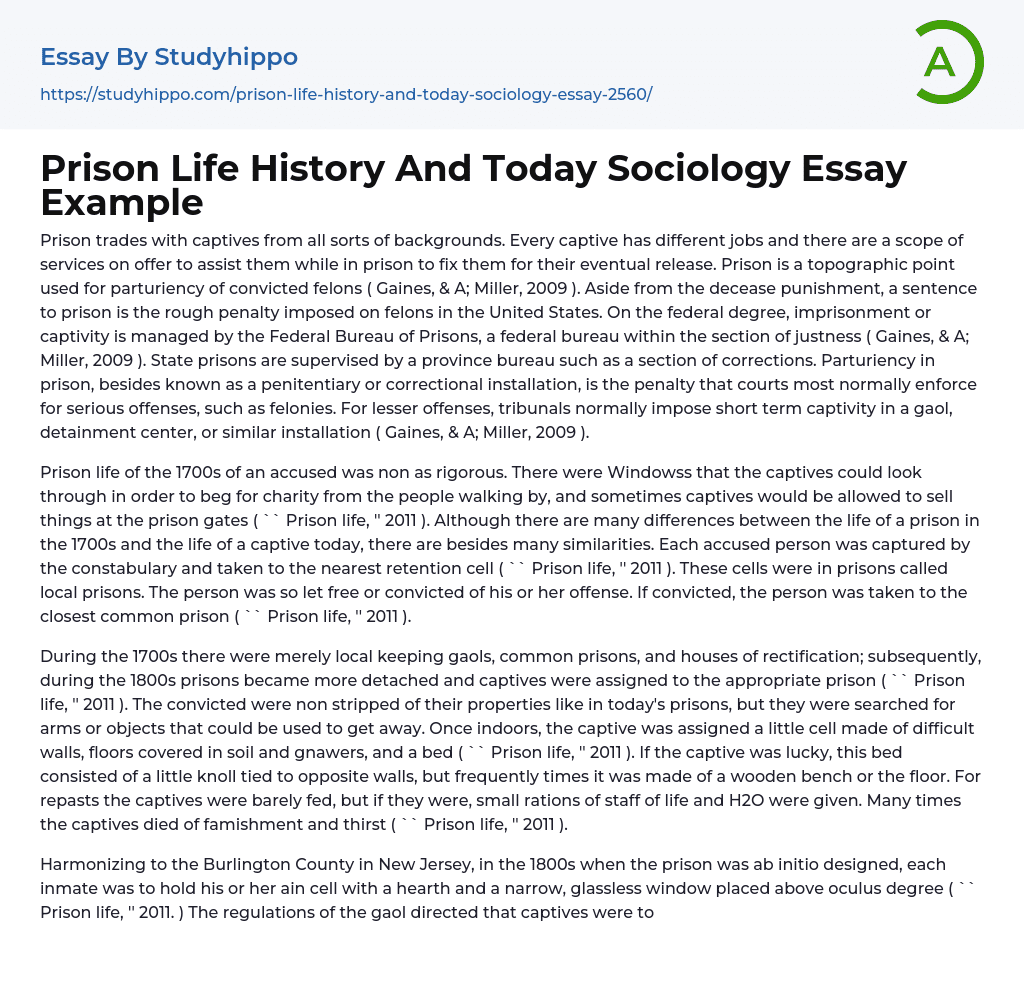 Prison Life History And Today Sociology Essay Example