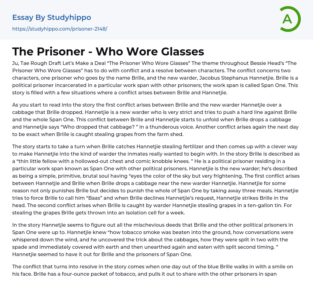 The Prisoner – Who Wore Glasses Essay Example