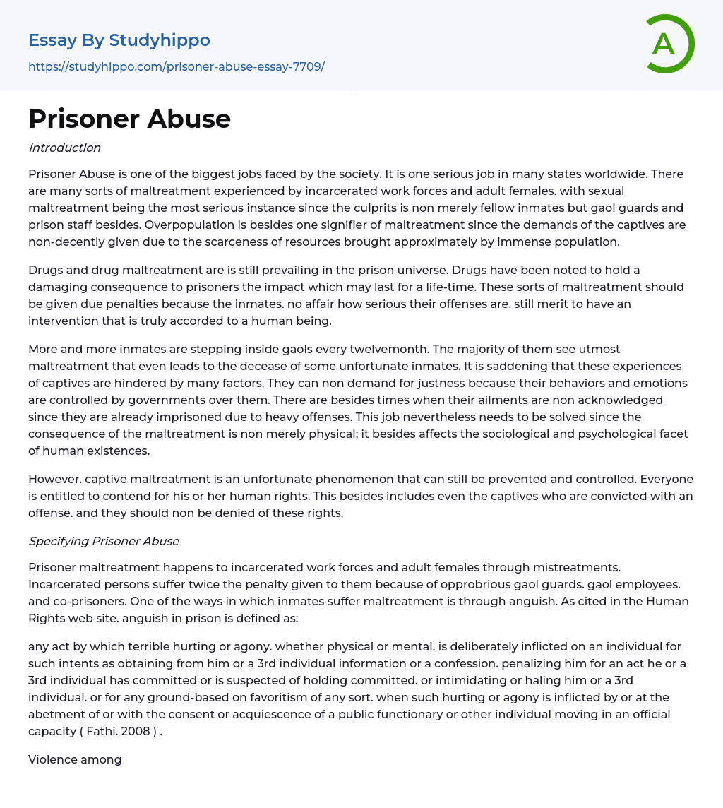 Prisoner Abuse Essay Example
