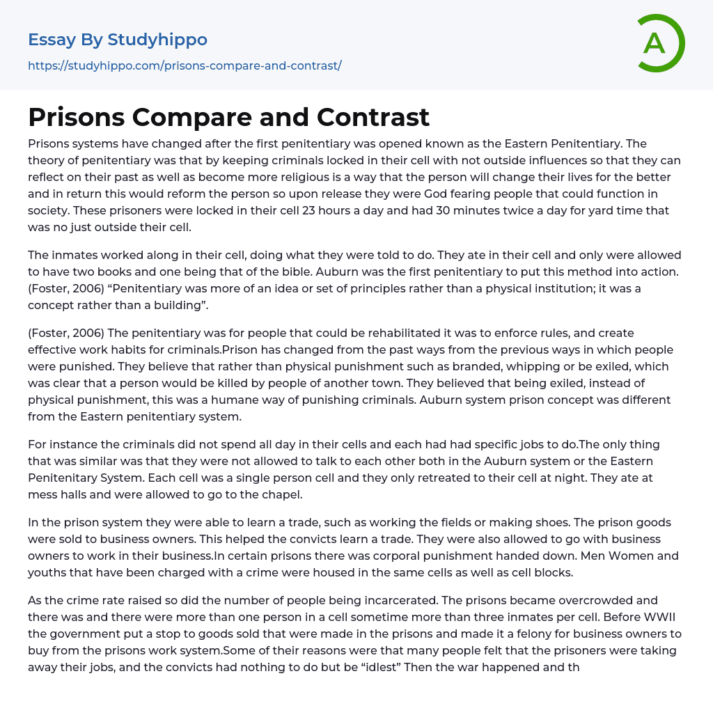 Prisons Compare and Contrast Essay Example
