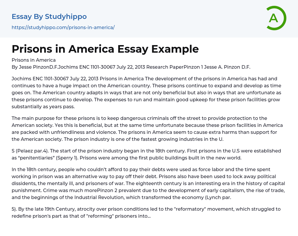 Prisons in America Essay Example