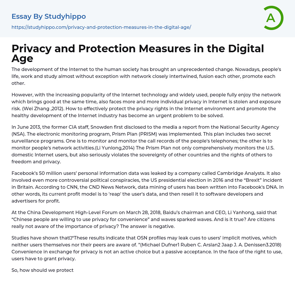 Privacy and Protection Measures in the Digital Age Essay Example