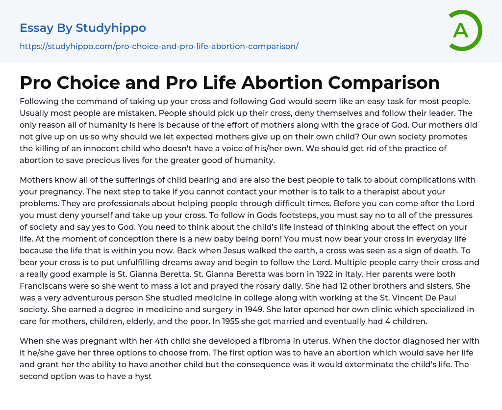 Pro Choice and Pro Life Abortion Comparison Essay Example