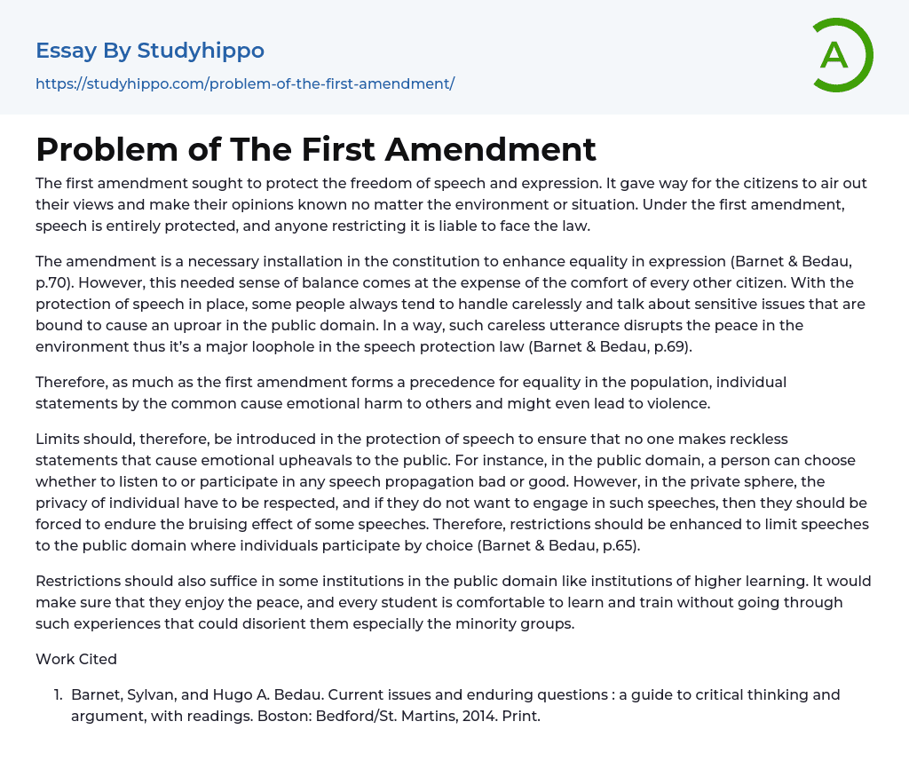 Problem of The First Amendment Essay Example