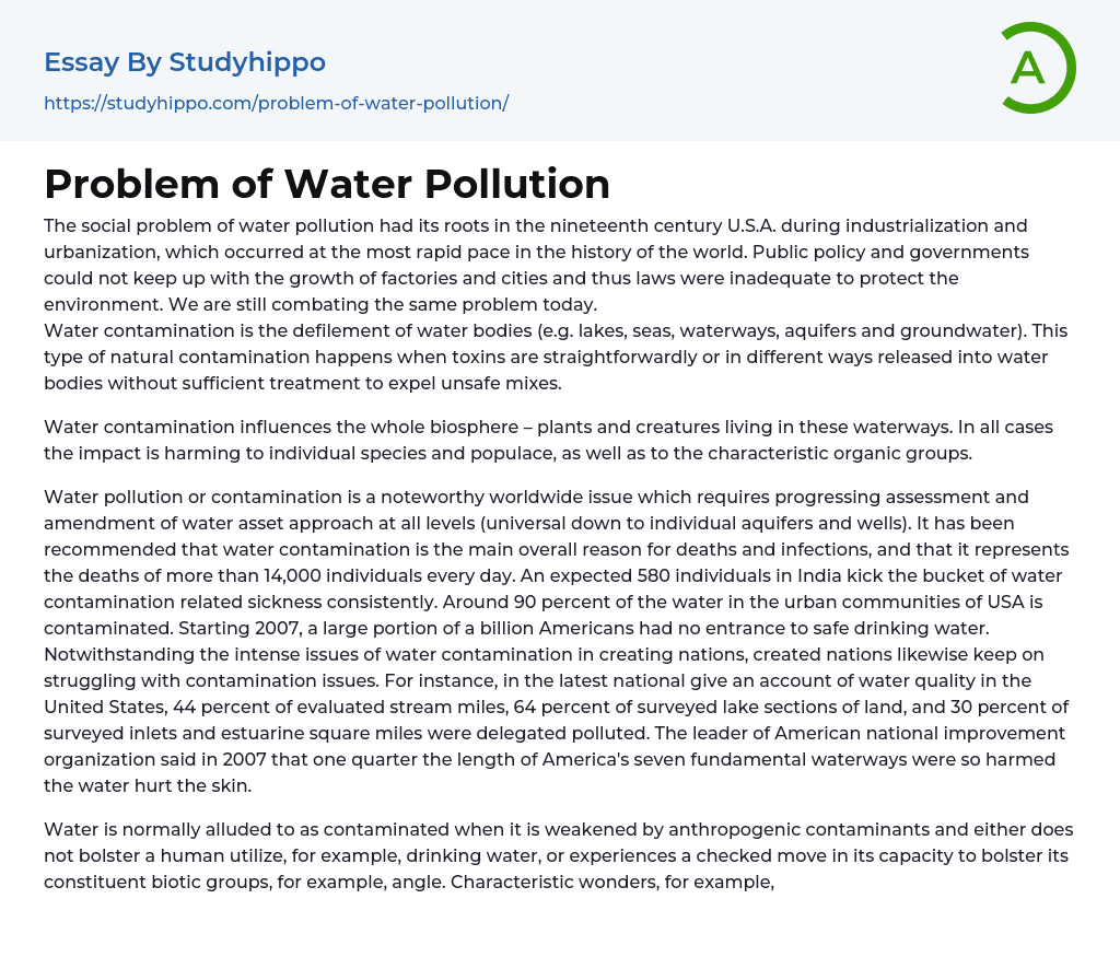 water pollution essay example