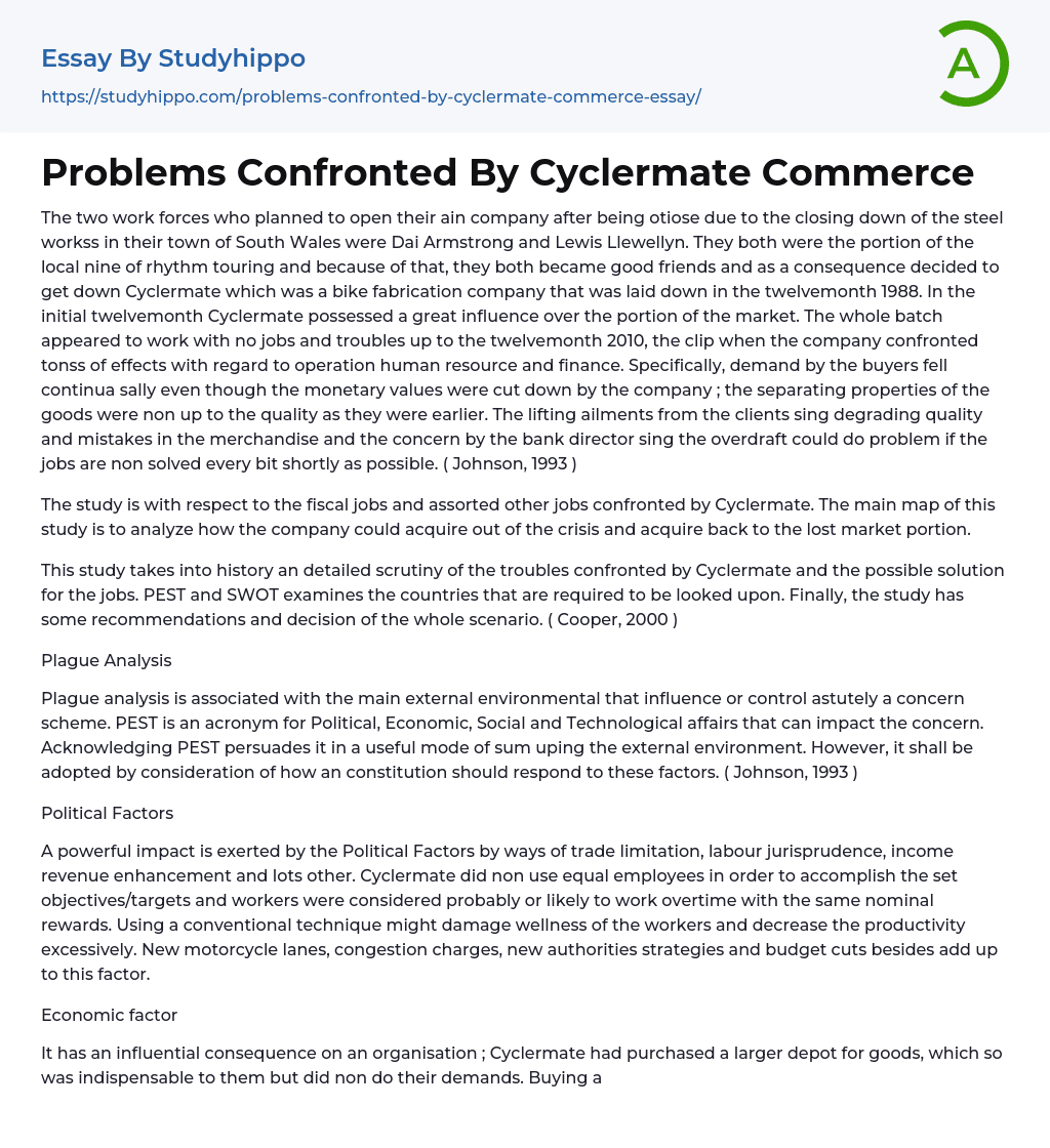 Problems Confronted By Cyclermate Commerce Essay Example