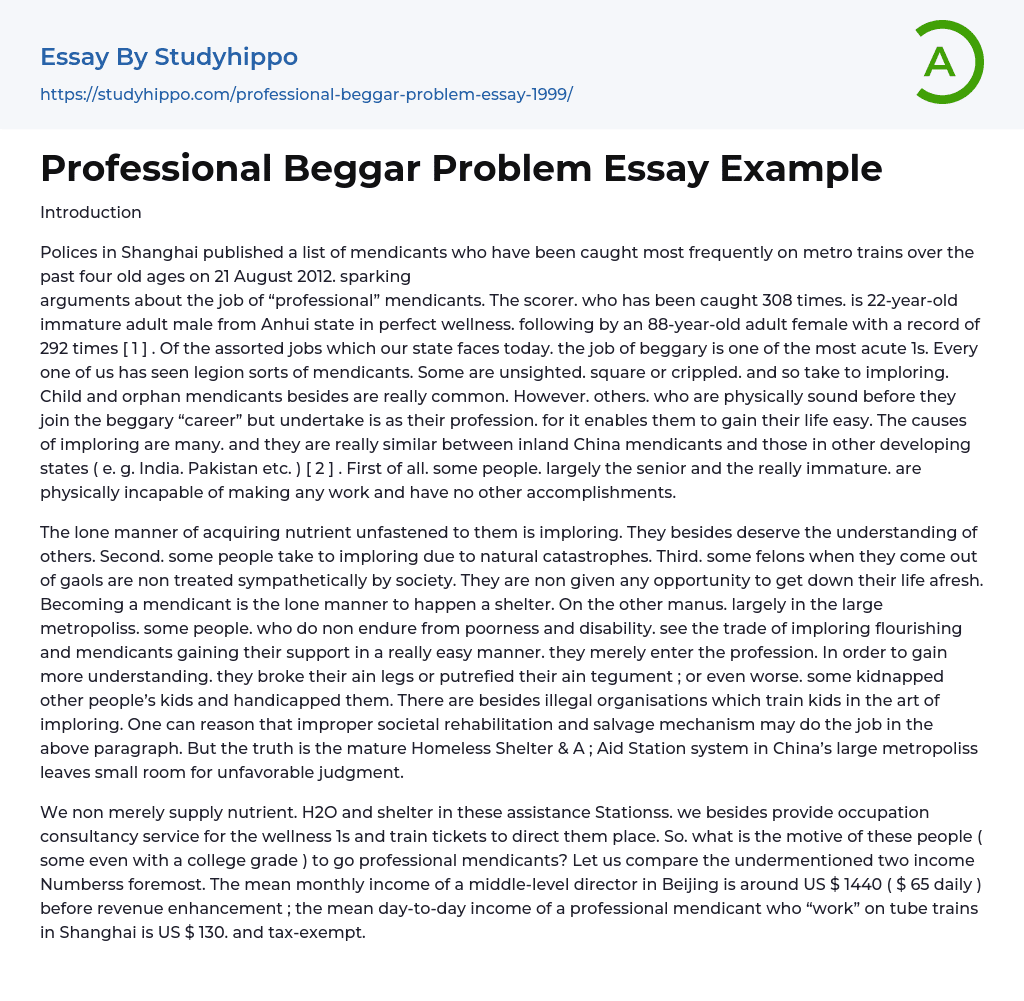 Professional Beggar Problem Essay Example