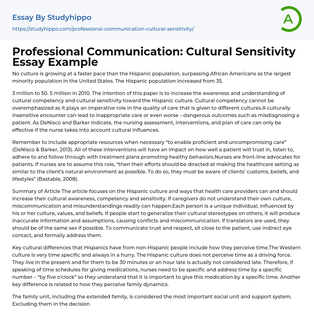 Professional Communication: Cultural Sensitivity Essay Example