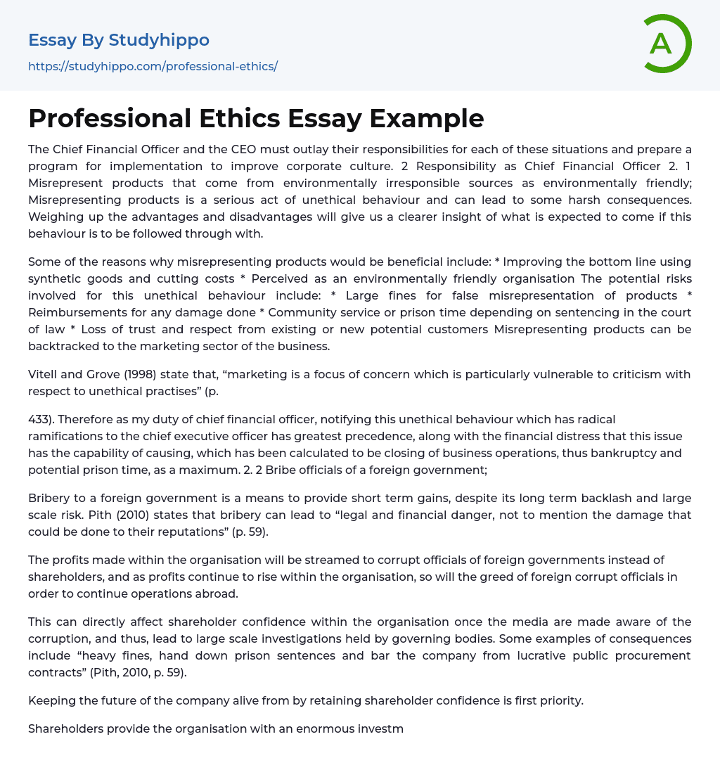 Professional Ethics Essay Example