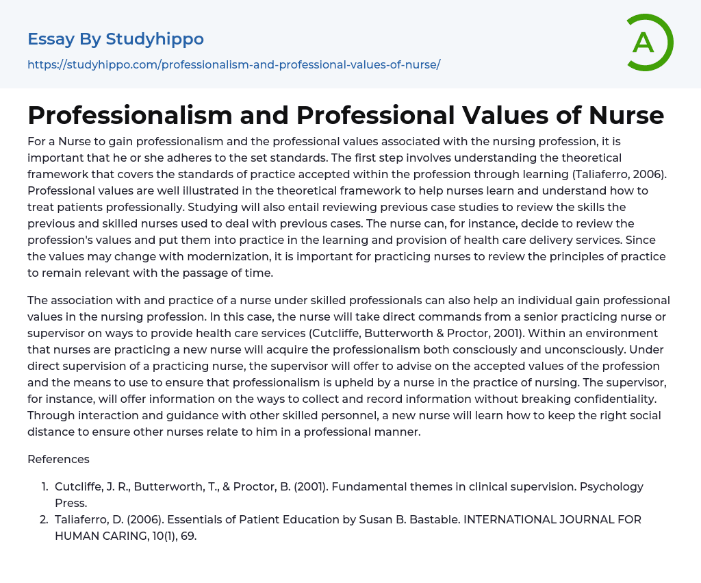 professional values in nursing essay