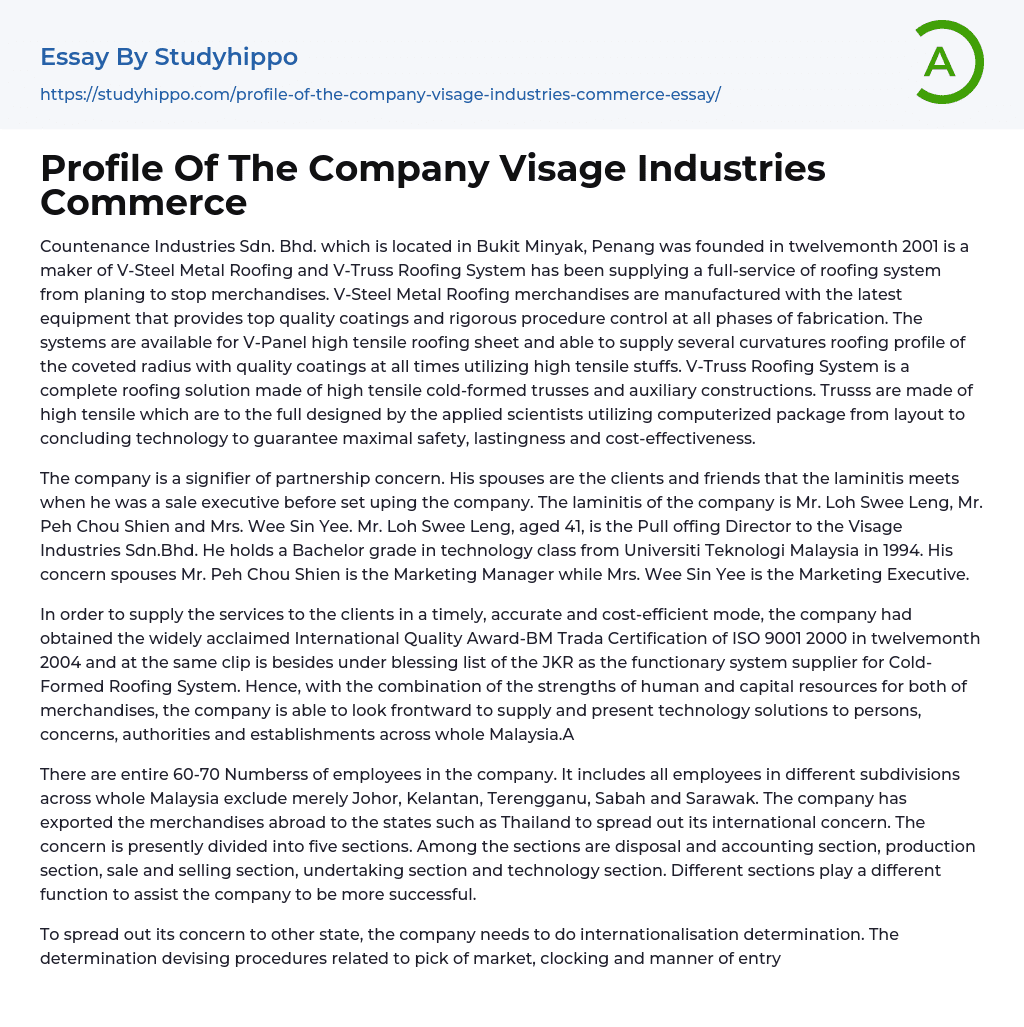 Profile Of The Company Visage Industries Commerce Essay Example