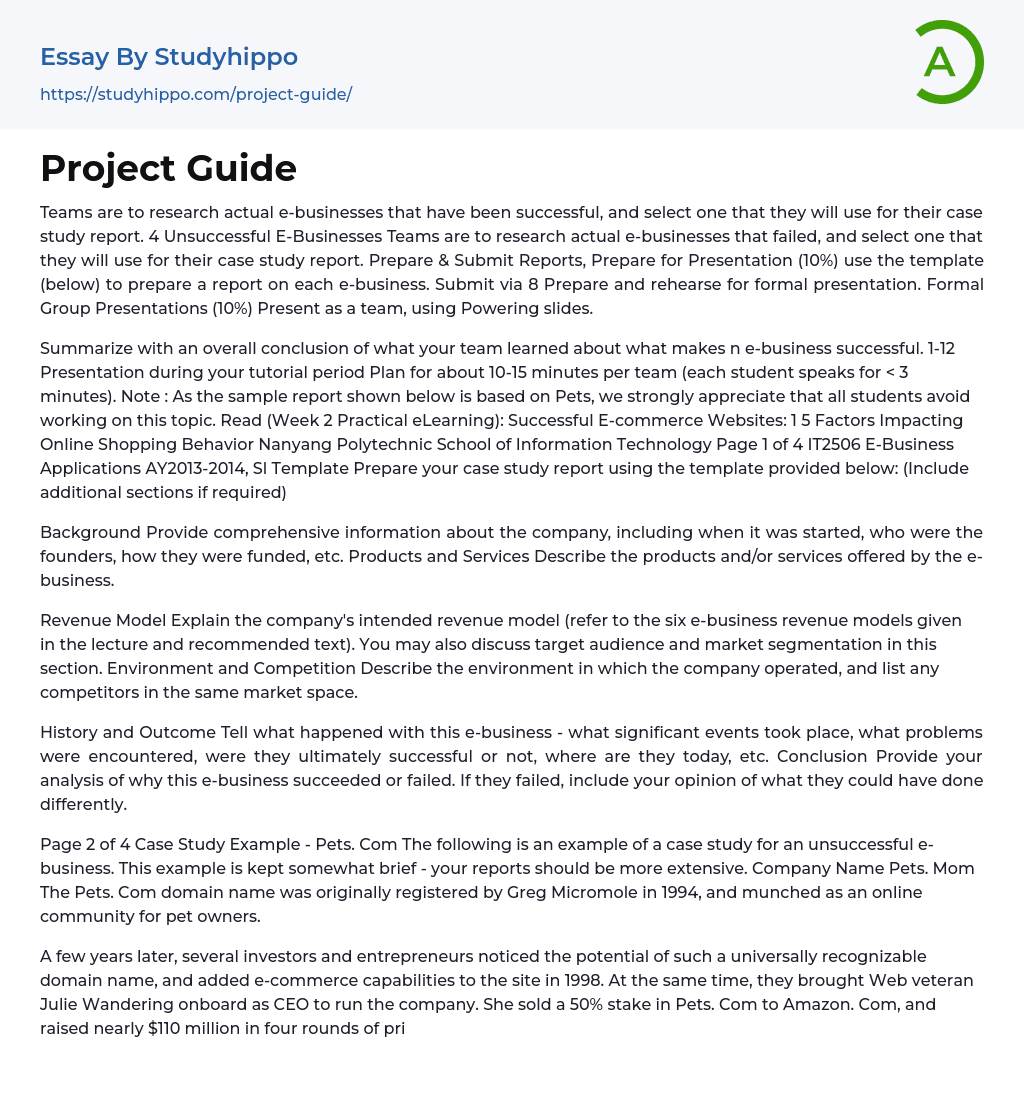 Project Guide Essay Example